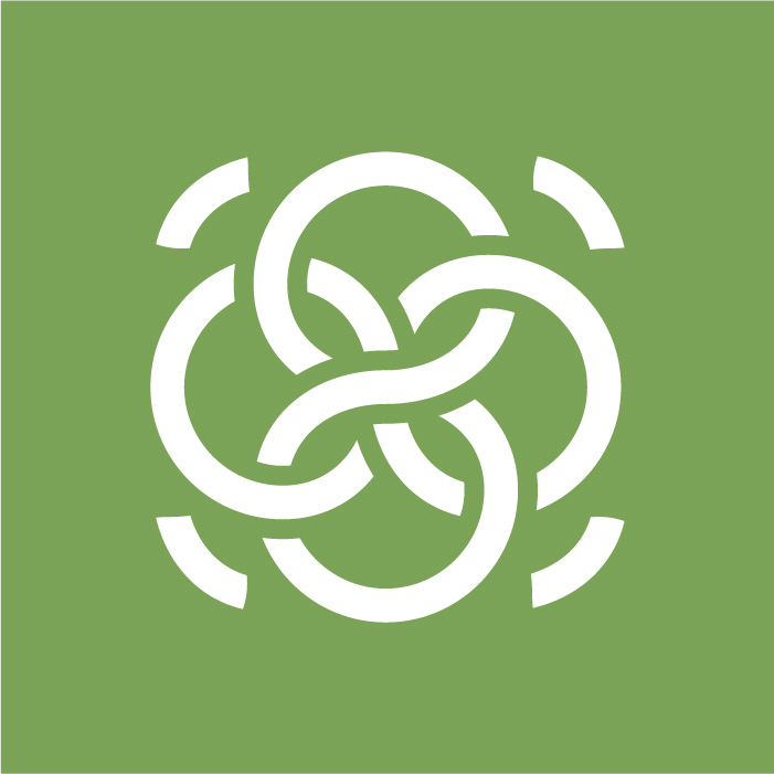 Steady Within Workshop - logo